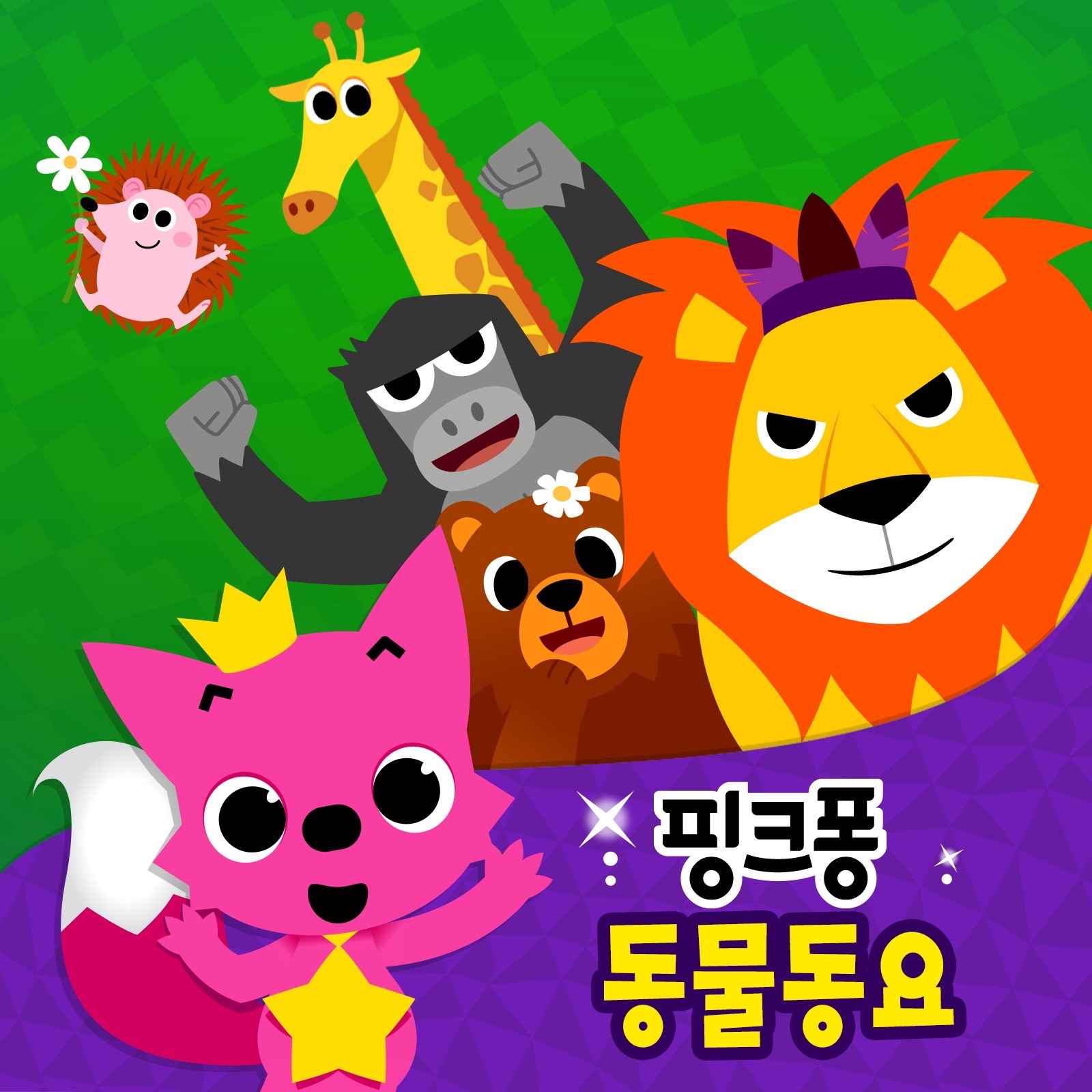 핑크퐁 동물 동요 album cover
