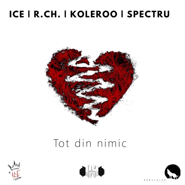 Tot Din Nimic (feat. Rch, Spectru & Koleroo) - Single album cover