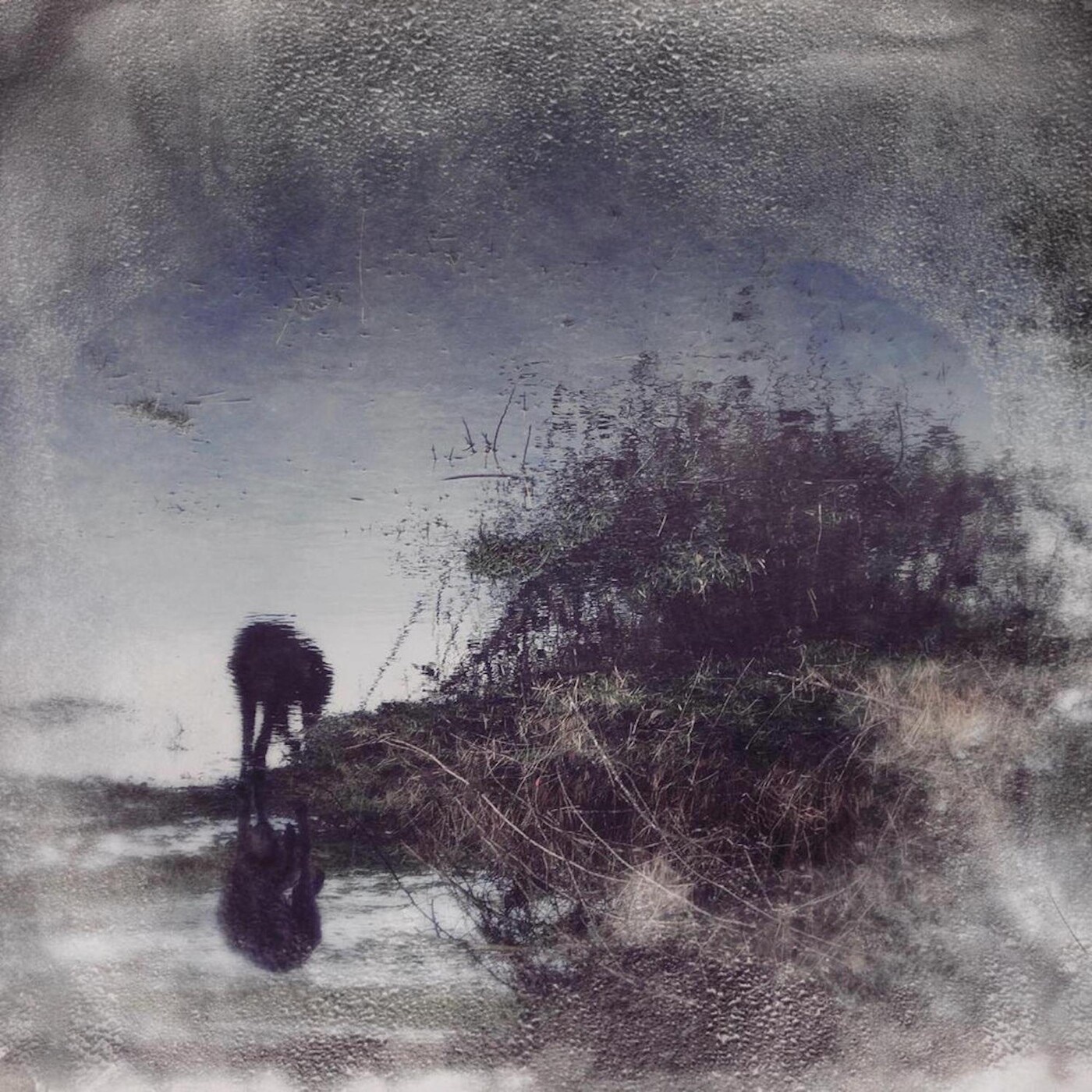 Flux & Contemplation - Portrait of an Artist in Isolation (DJ Mix) album cover