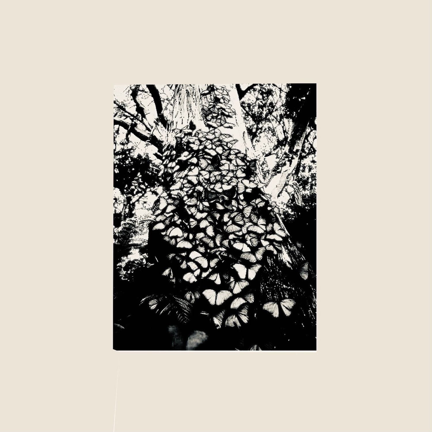 Settle Down - Single album cover