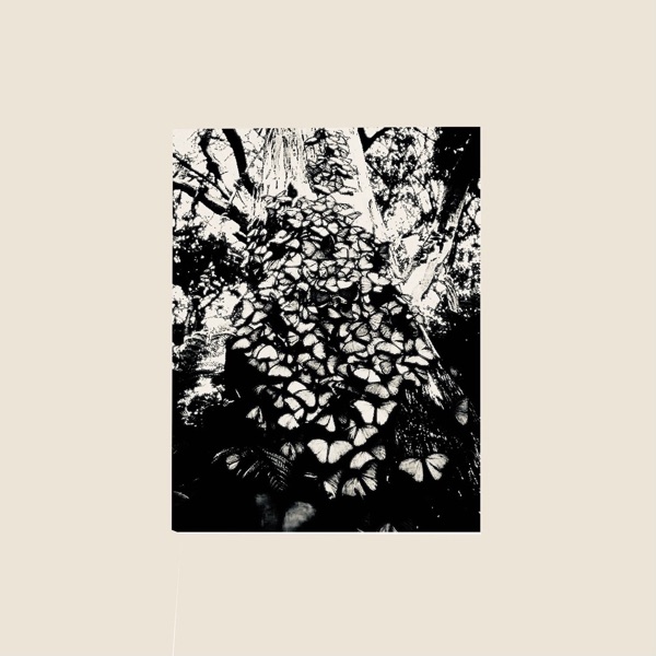 Settle Down - Single album cover