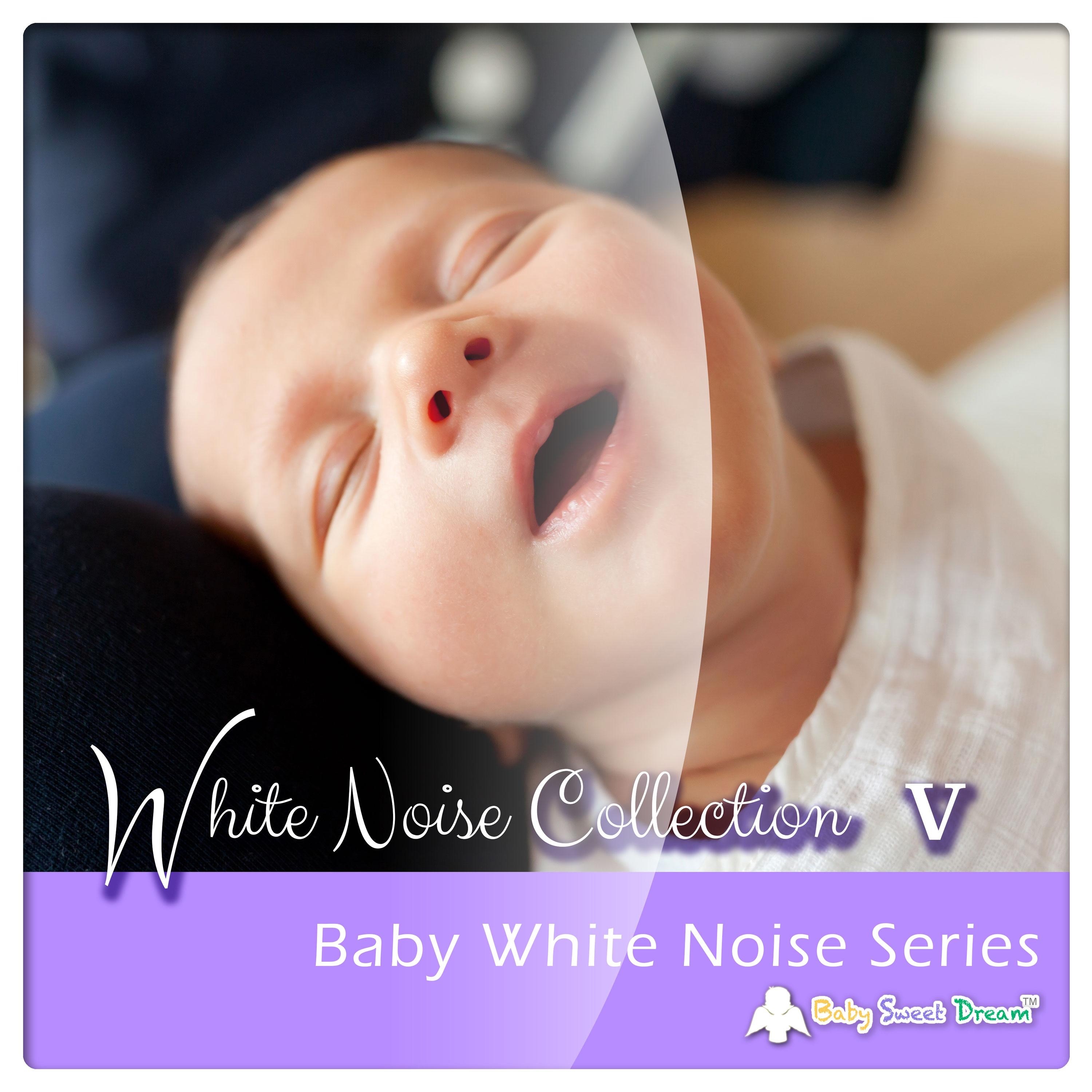 Baby White Noise Series: White Noise Collection V album cover