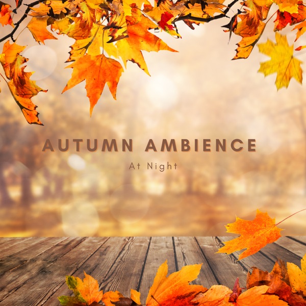 Autumn Ambience At Night album cover