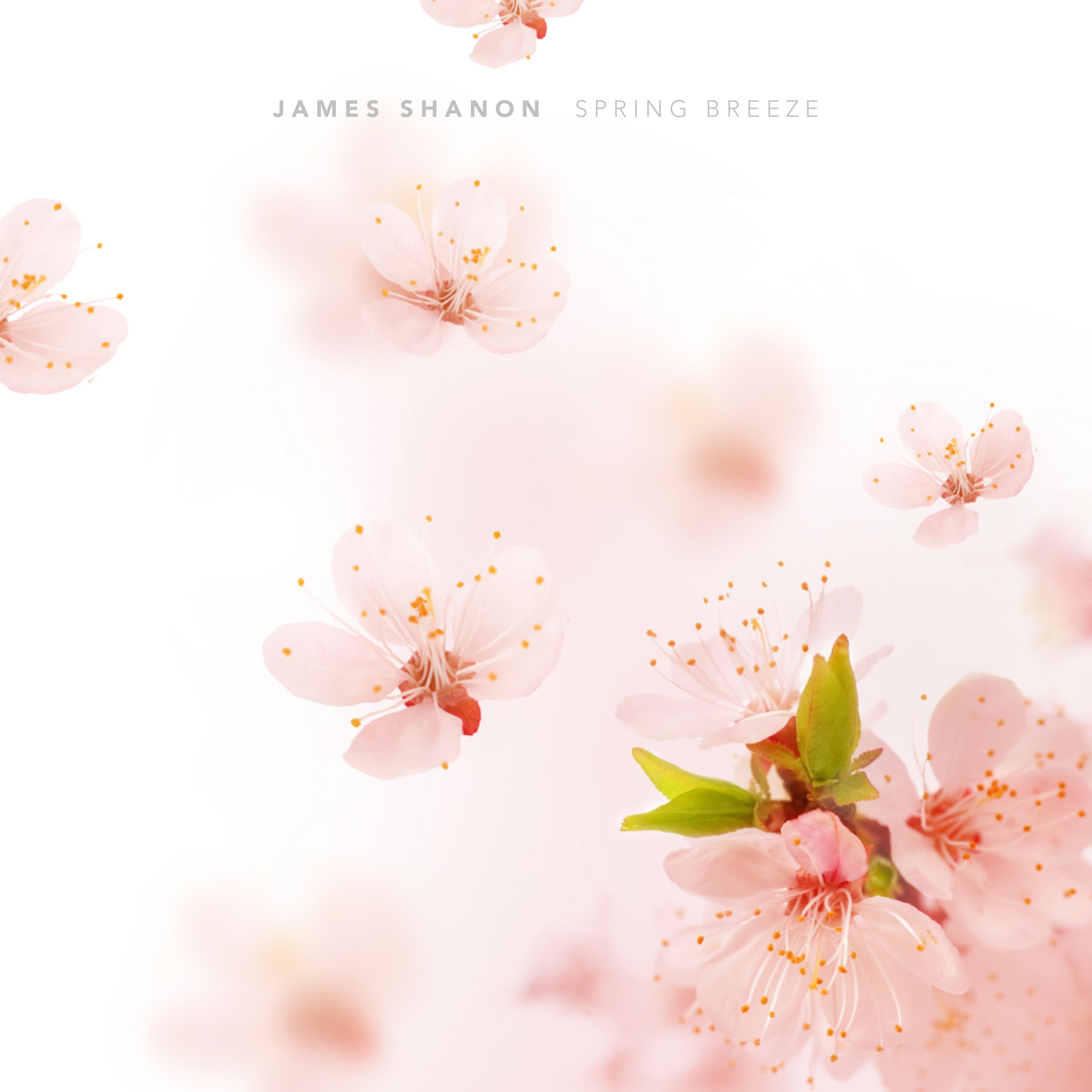 Spring Breeze - Single album cover