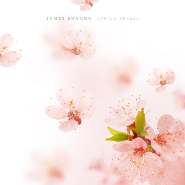 Spring Breeze - Single album cover