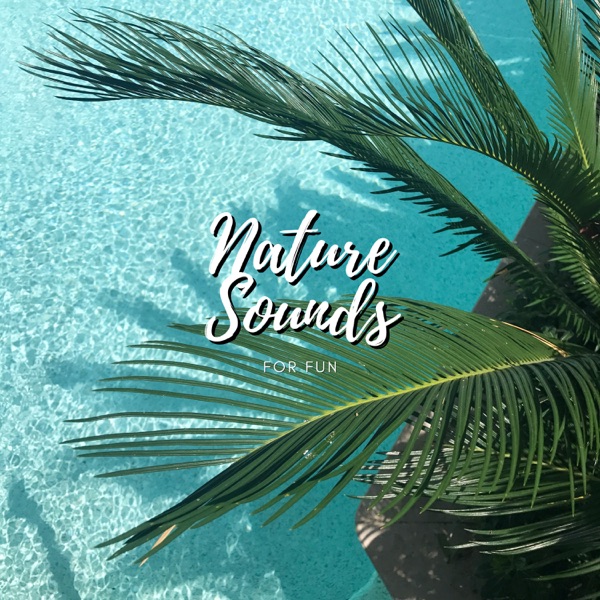 Nature Sounds For Fun album cover