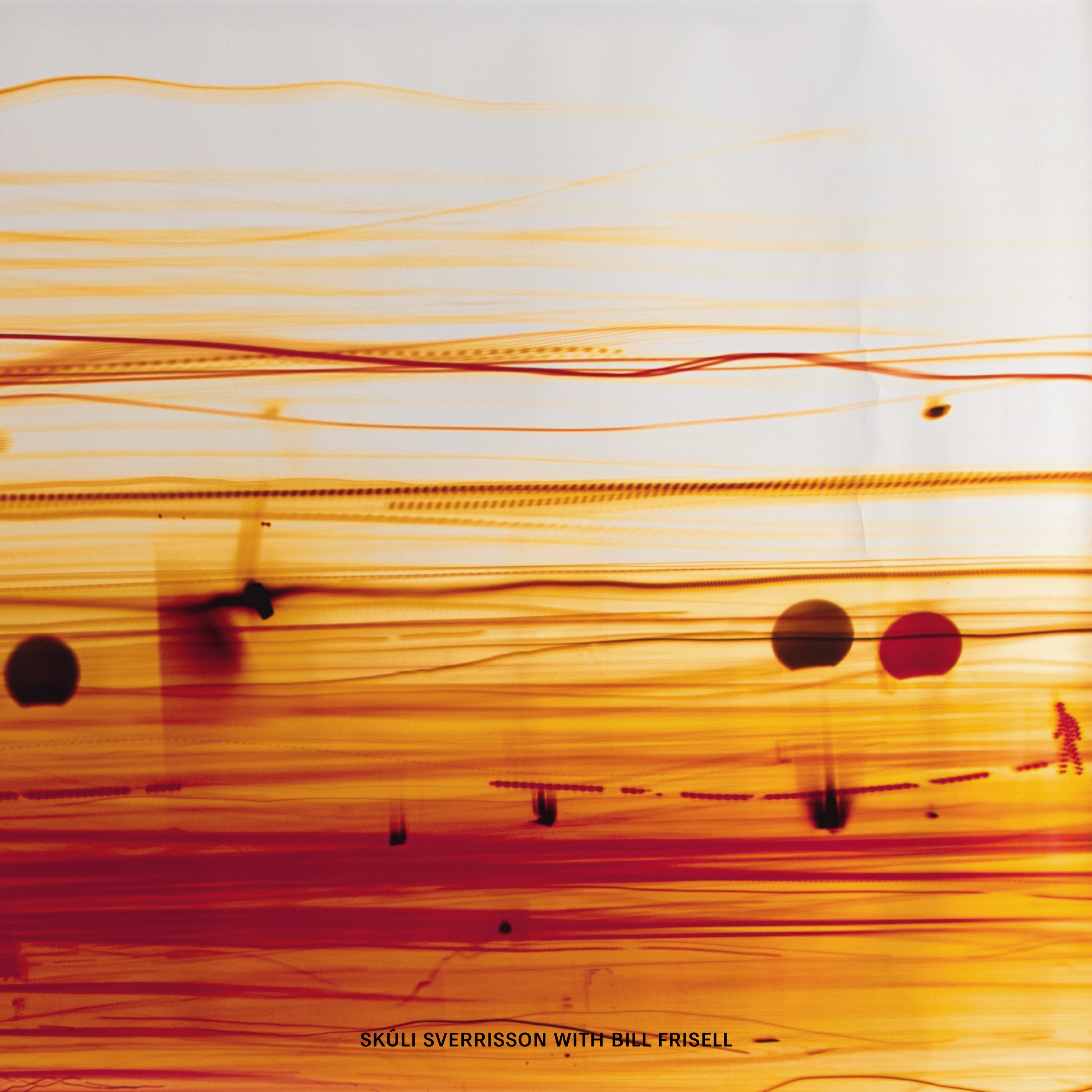 Strata (feat. Bill Frisell) album cover