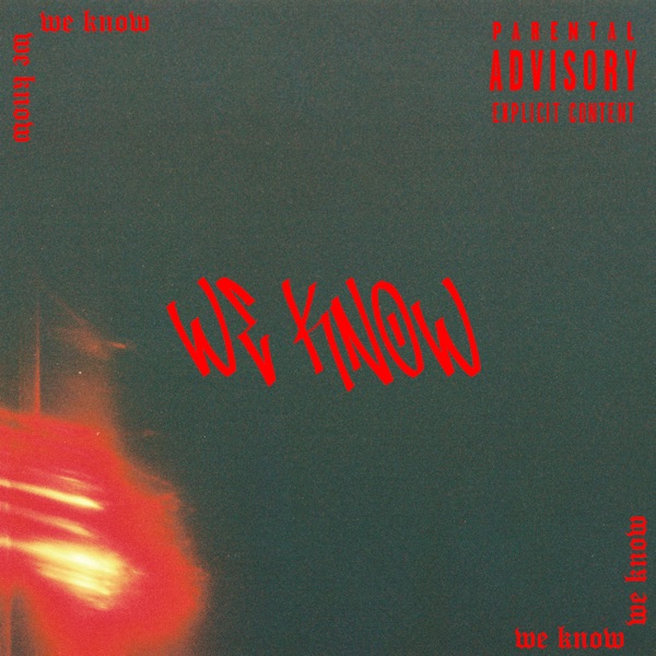 We Know - Single album cover