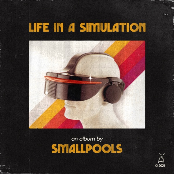LIFE IN A SIMULATION album cover
