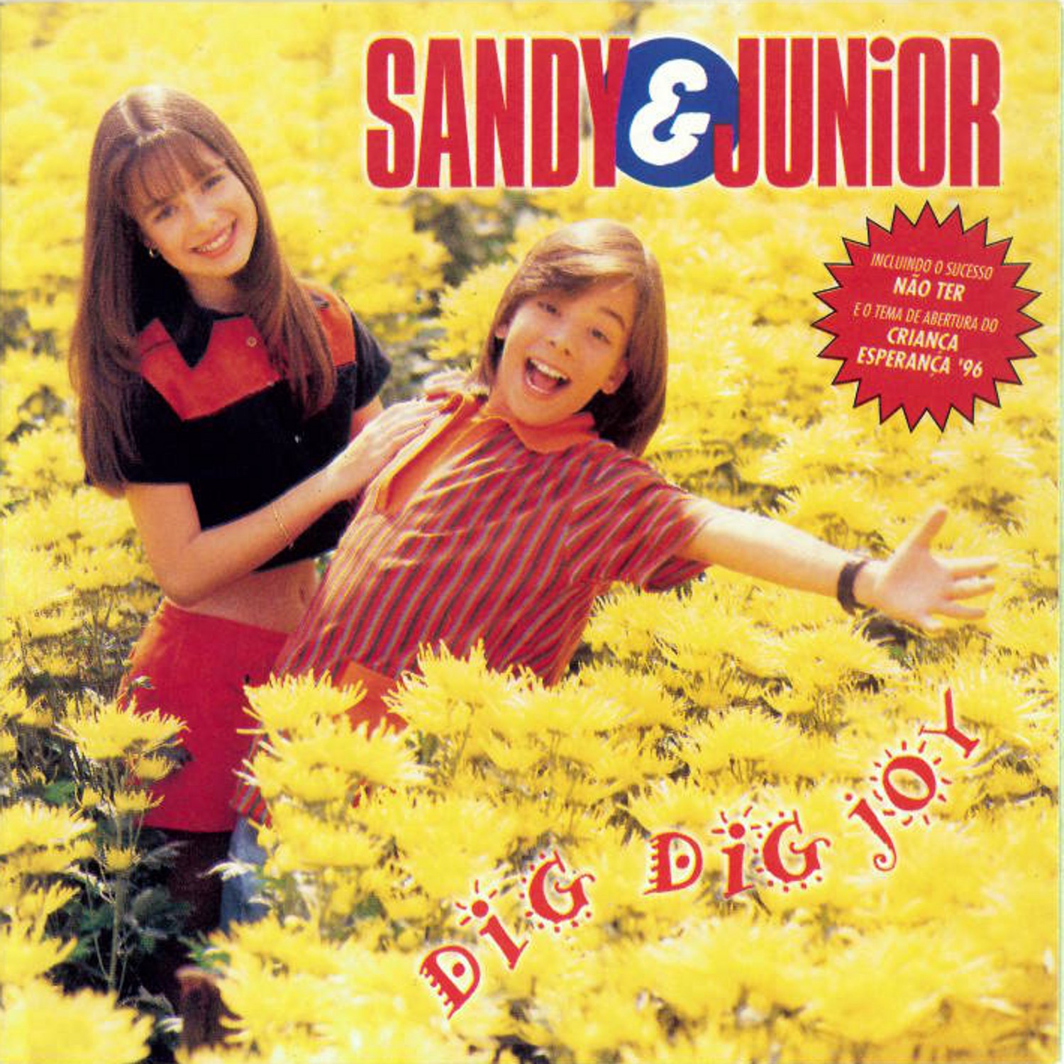 Dig Dig Joy album cover