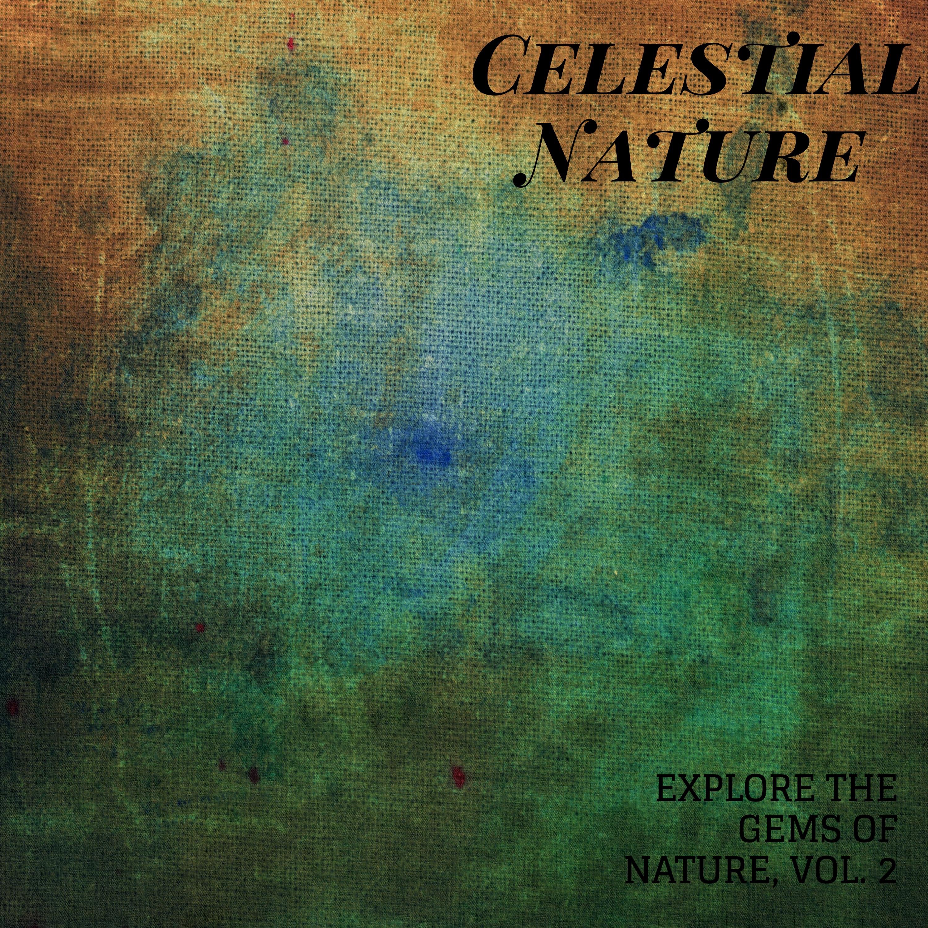 Celestial Nature - Explore the Gems of Nature, Vol. 2 album cover