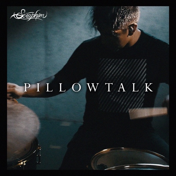 Pillowtalk - Single album cover