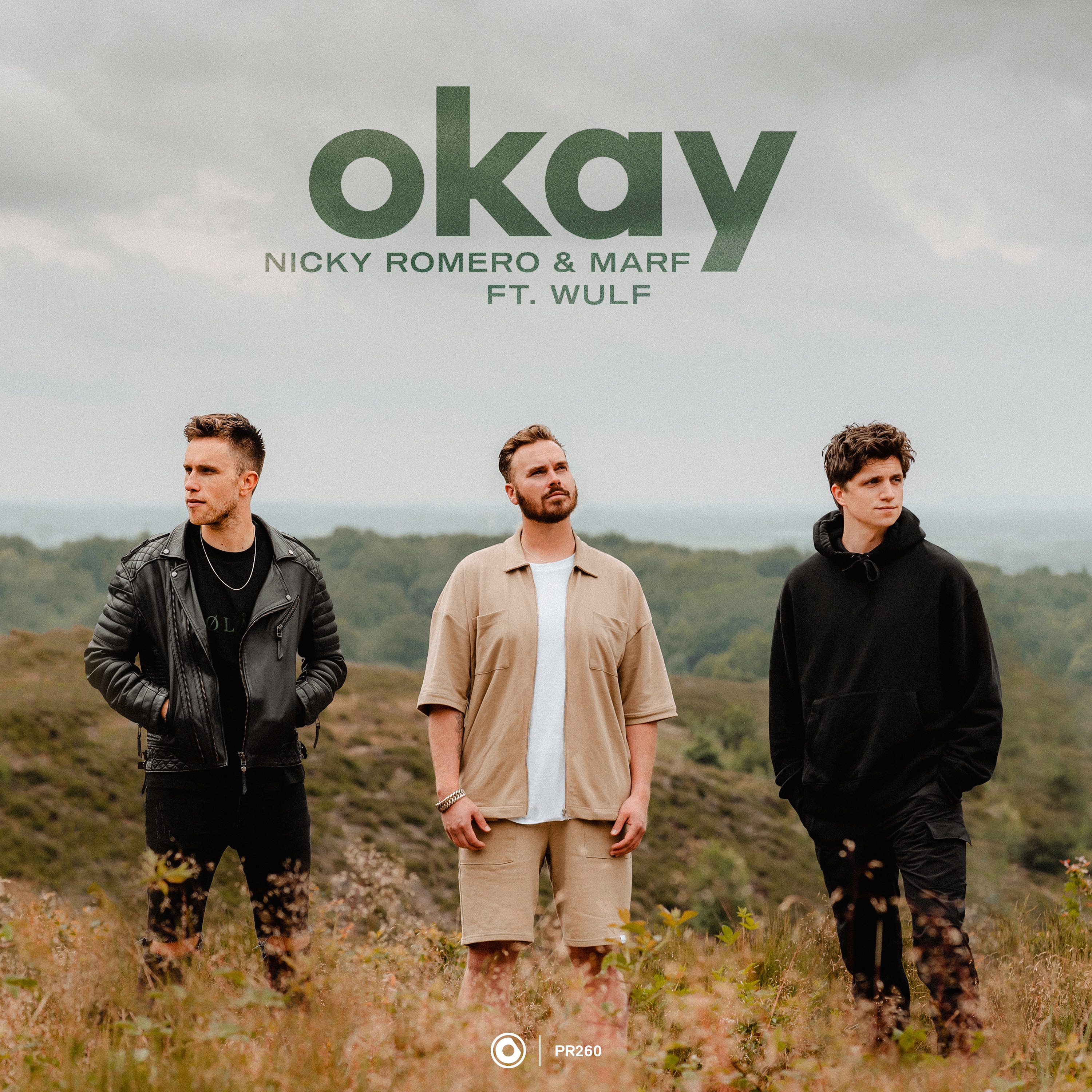 Okay (feat. Wulf) - Single album cover