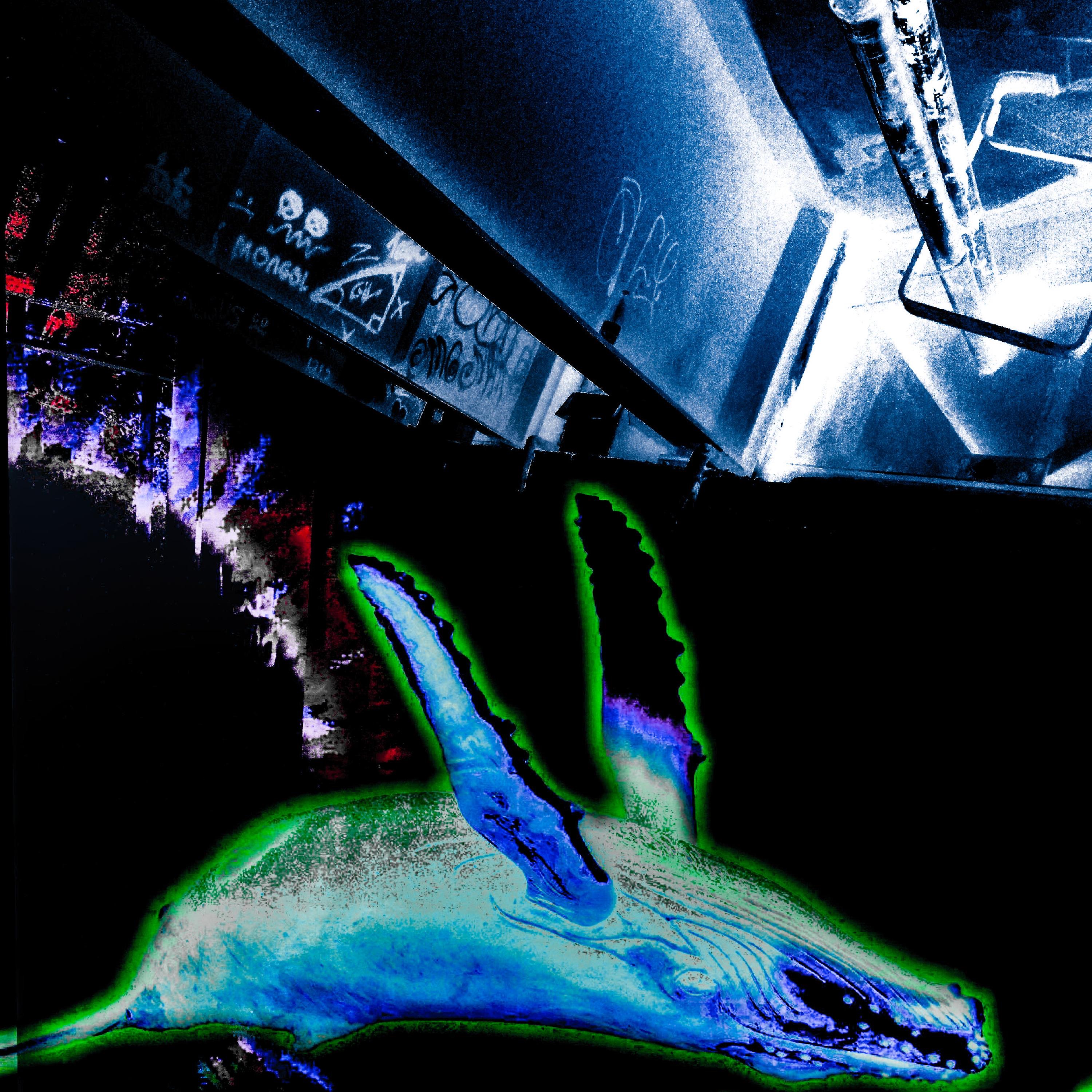 Void__19### album cover