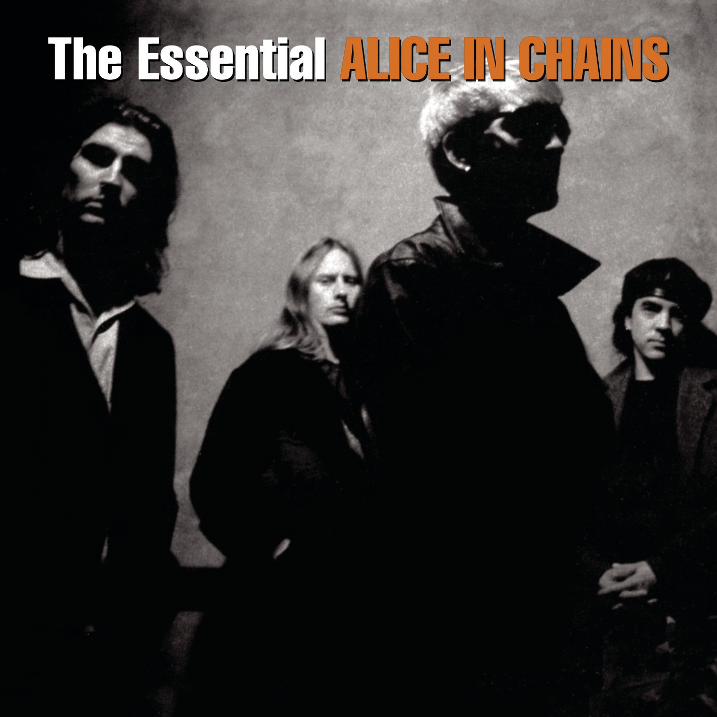The Essential Alice In Chains album cover