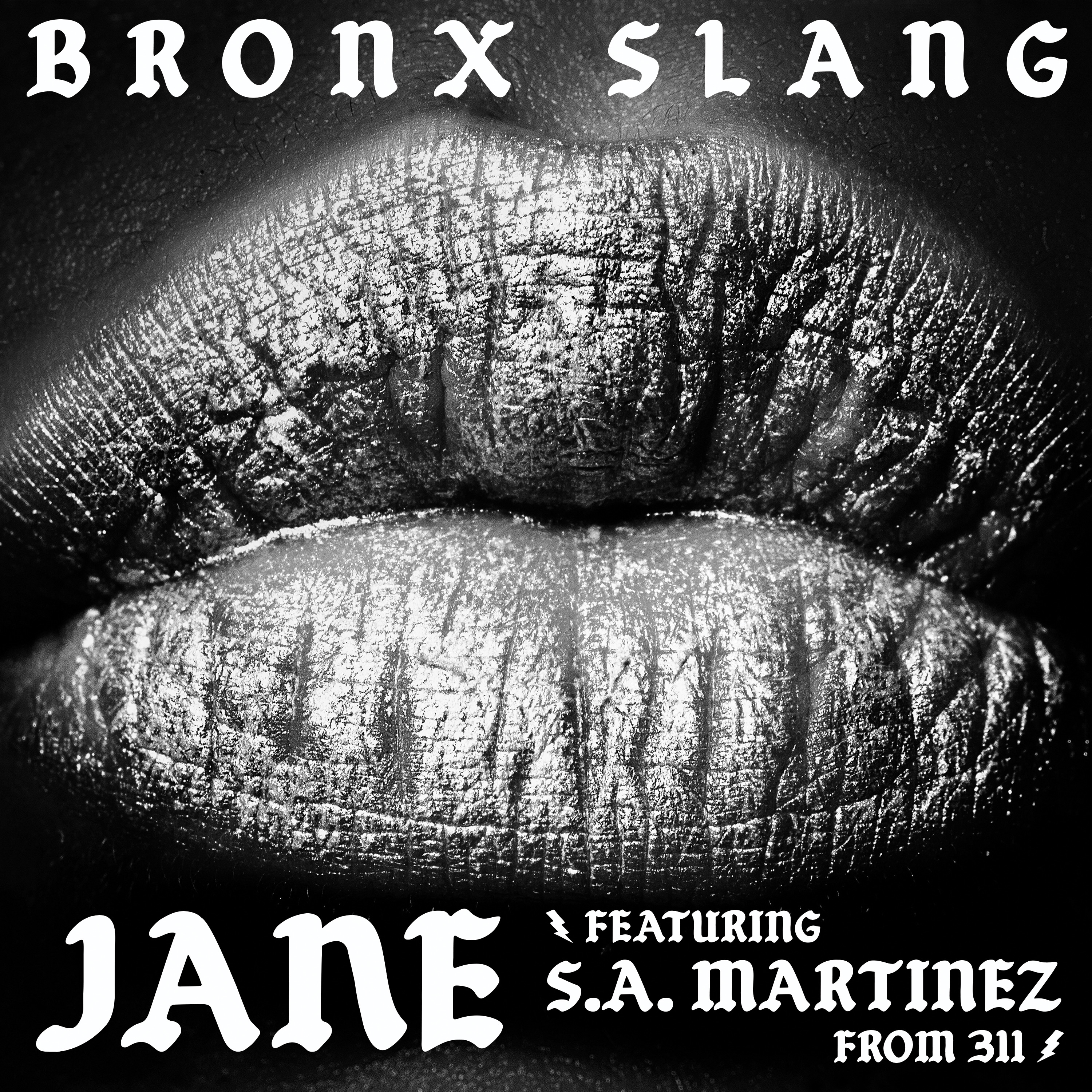 Jane (feat. S.A. Martinez & 311) - Single album cover