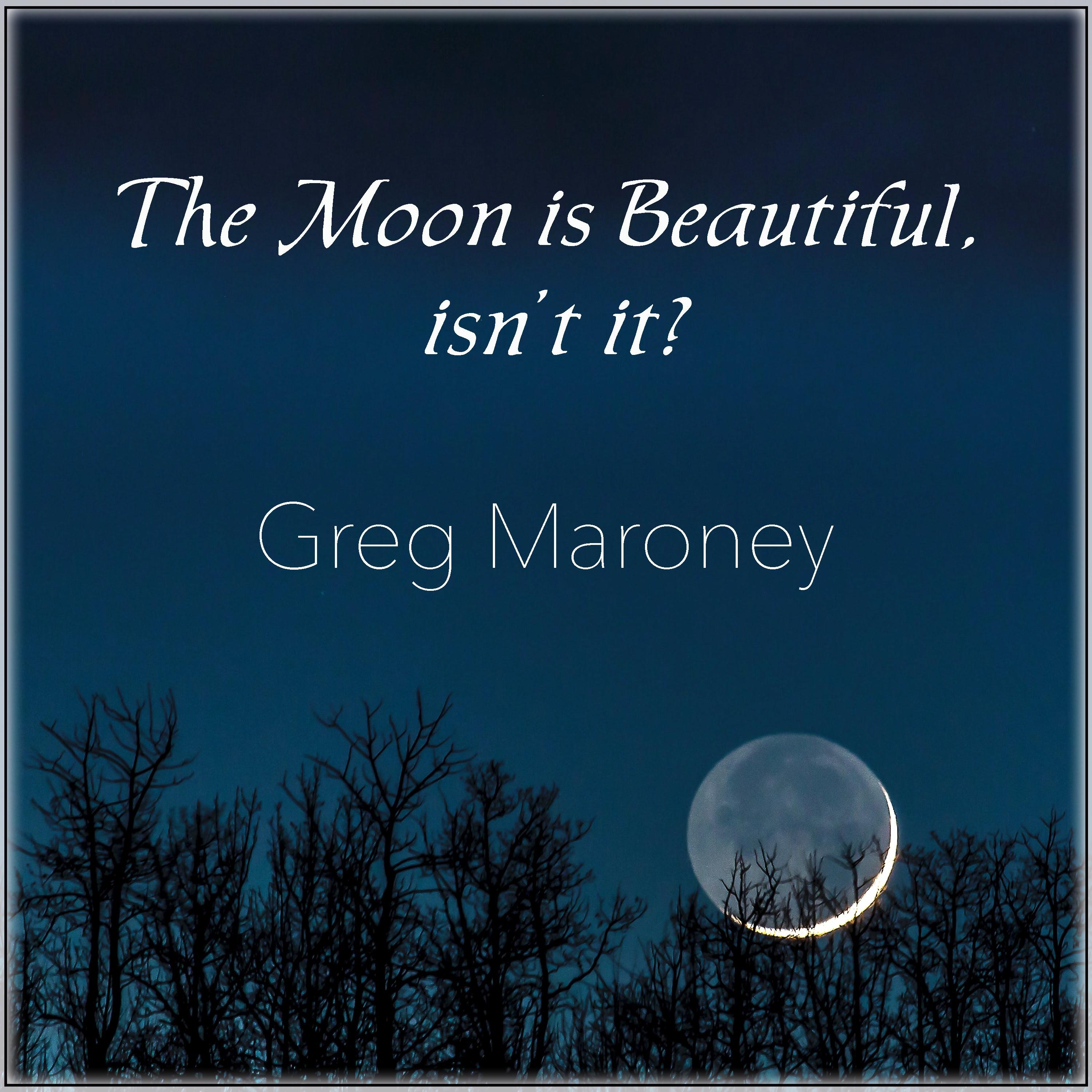 The Moon Is Beautiful, Isn't It? album cover