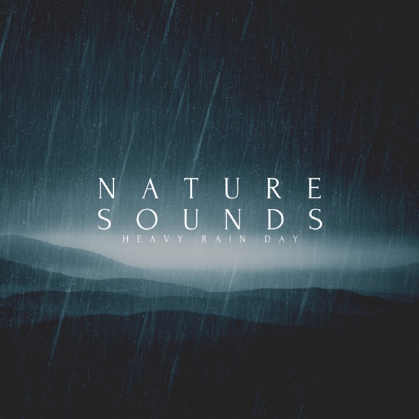 Nature Sounds Heavy Rain Day - EP album cover