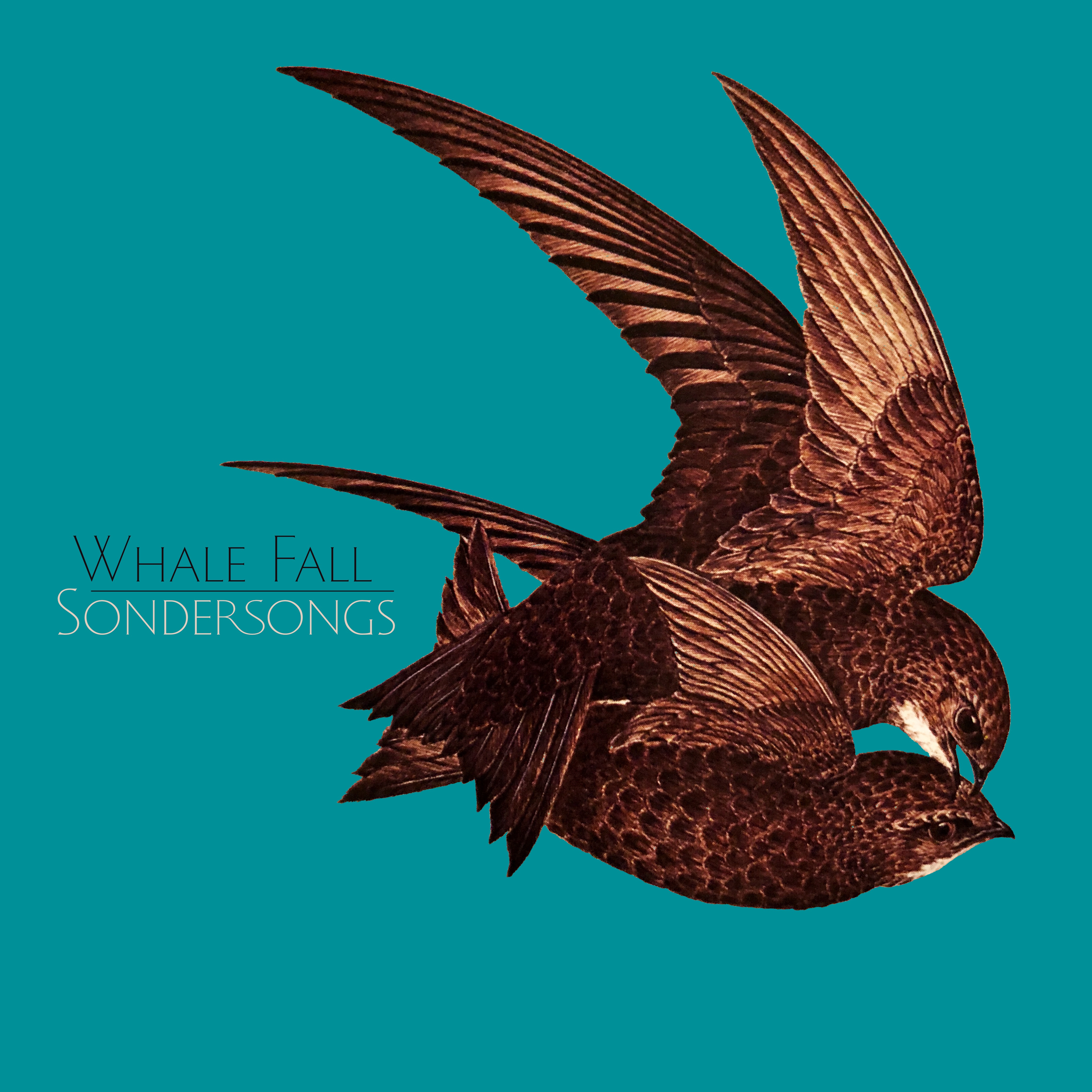 Sondersongs album cover