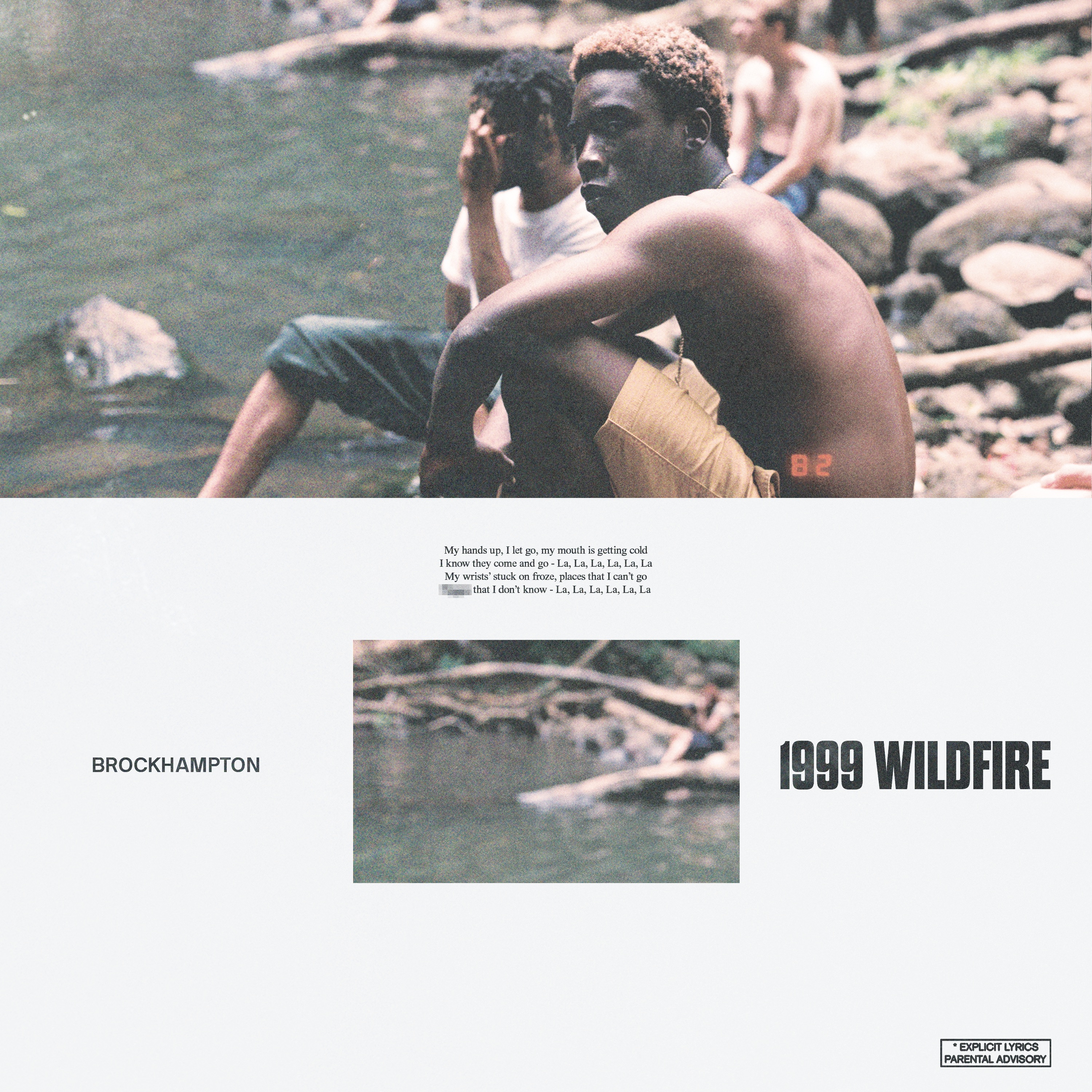 1999 WILDFIRE - Single album cover