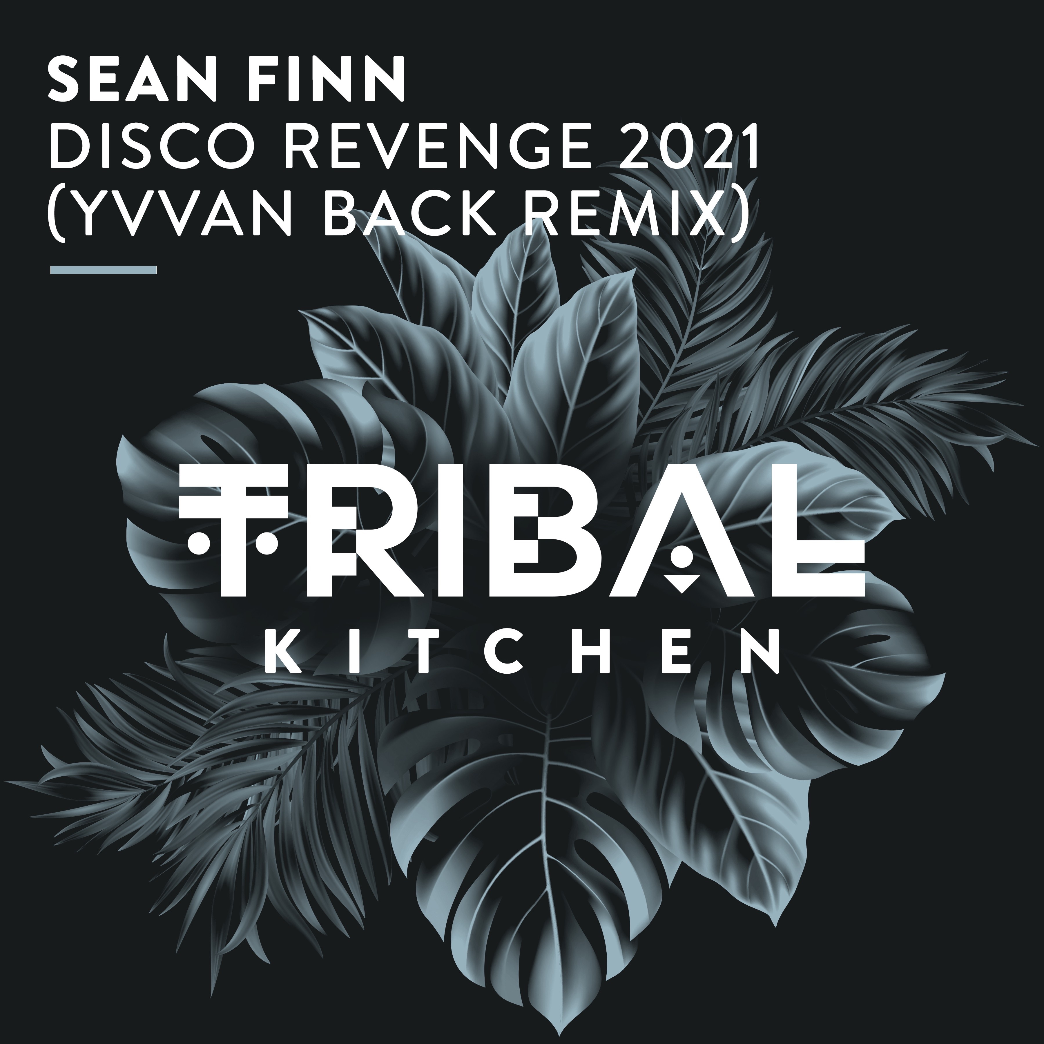 Disco Revenge 2021 (Yvvan Back Radio Edit) - Single album cover