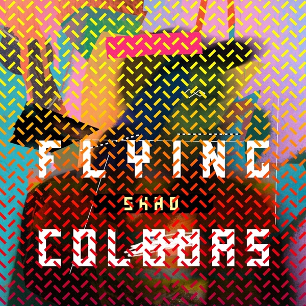 Flying Colours album cover