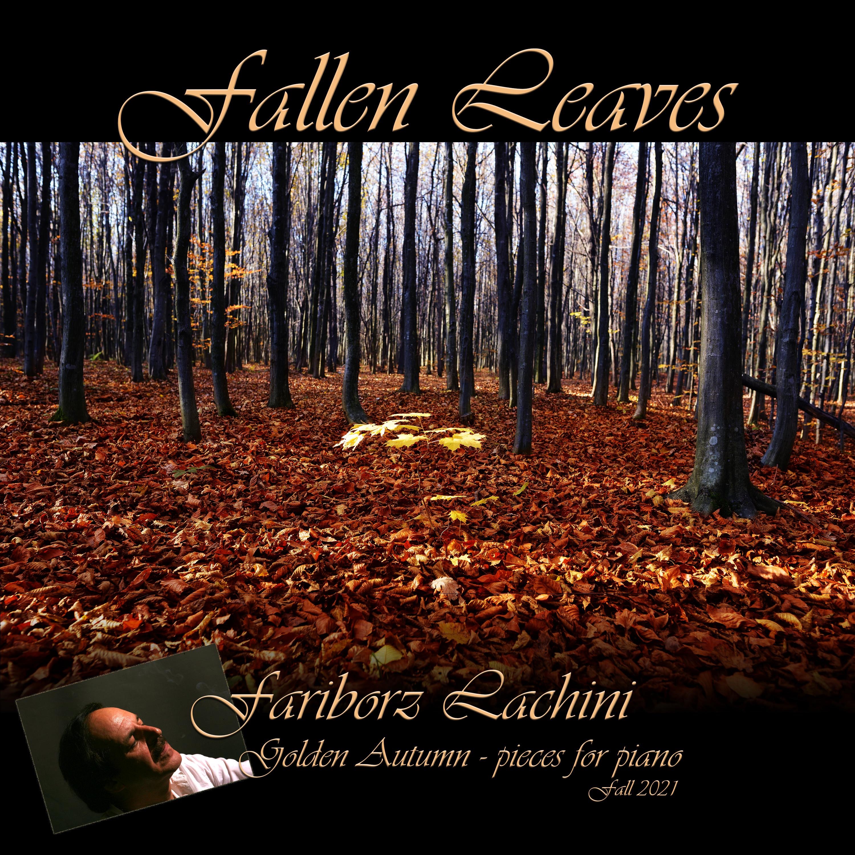 Fallen Leaves - Single album cover