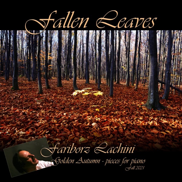 Fallen Leaves - Single album cover