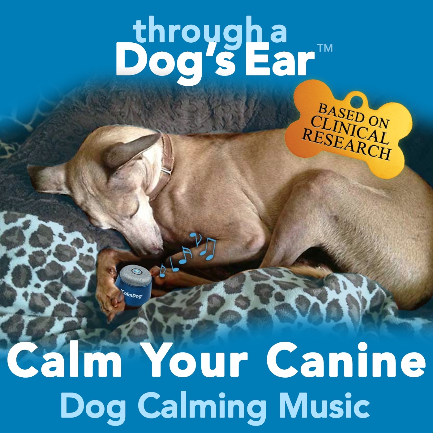 Calm Your Canine: Dog Calming Music album cover