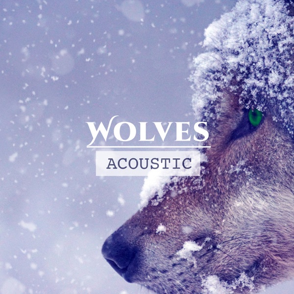 Wolves (Acoustic) - Single album cover