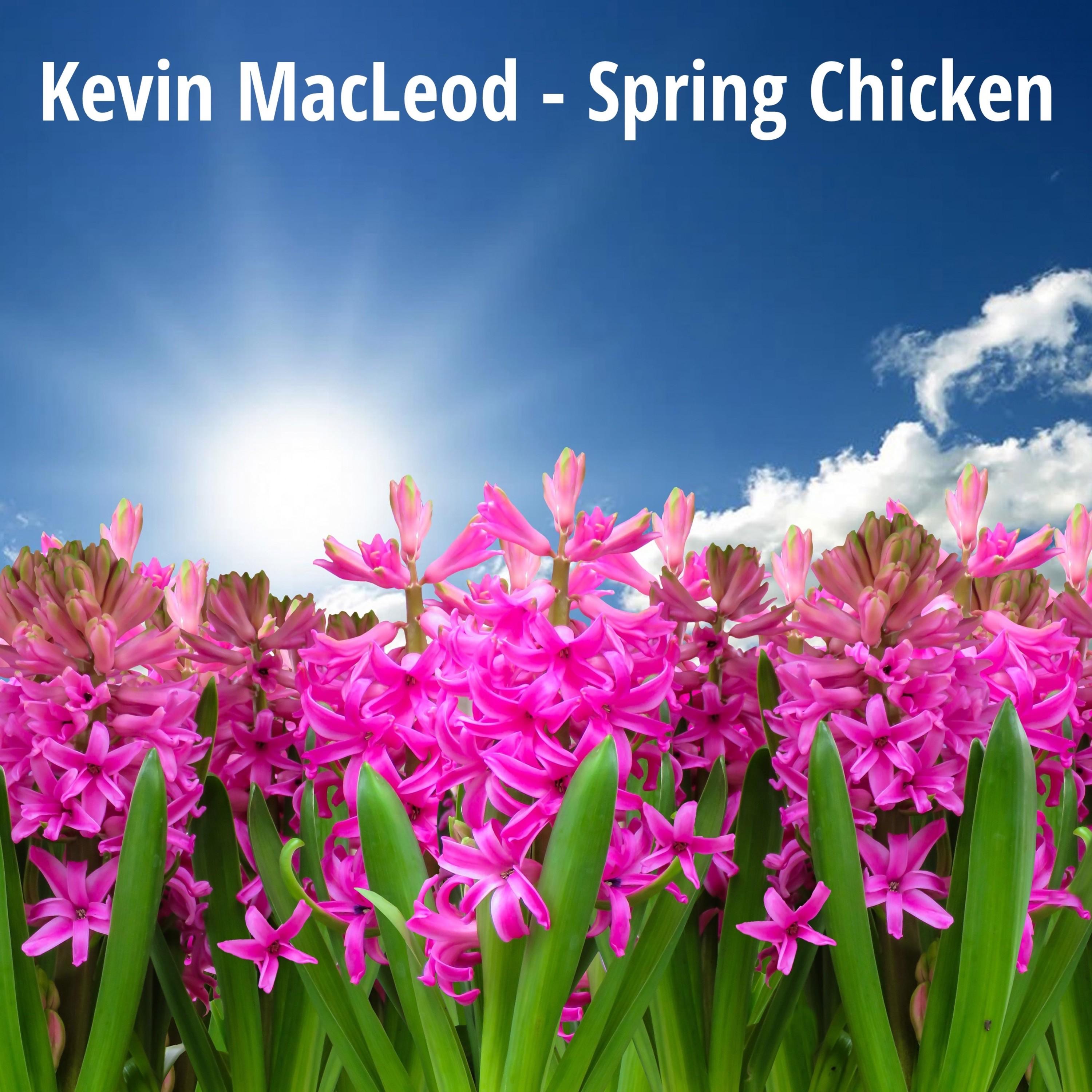 Spring Chicken album cover