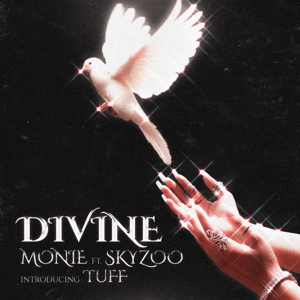 Divine (feat. Skyzoo & Tuff) - Single album cover