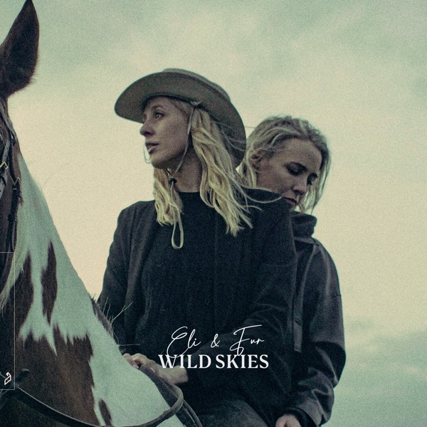 Wild Skies album cover