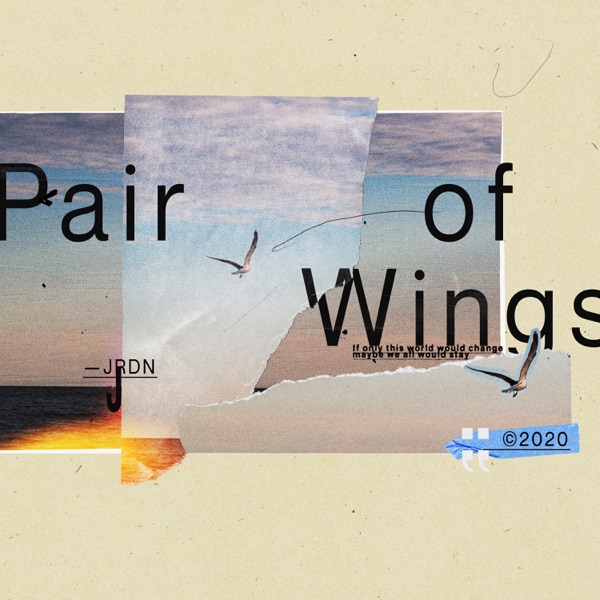 Pair of Wings (feat. Knotez & O'Sound) - Single album cover