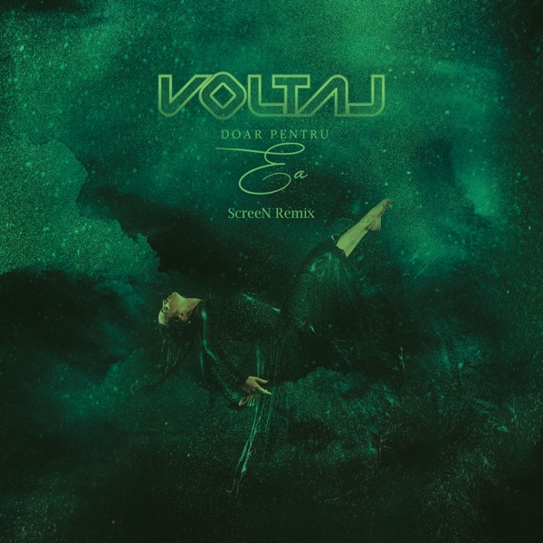 Doar pentru ea (Screen Remix) - Single album cover