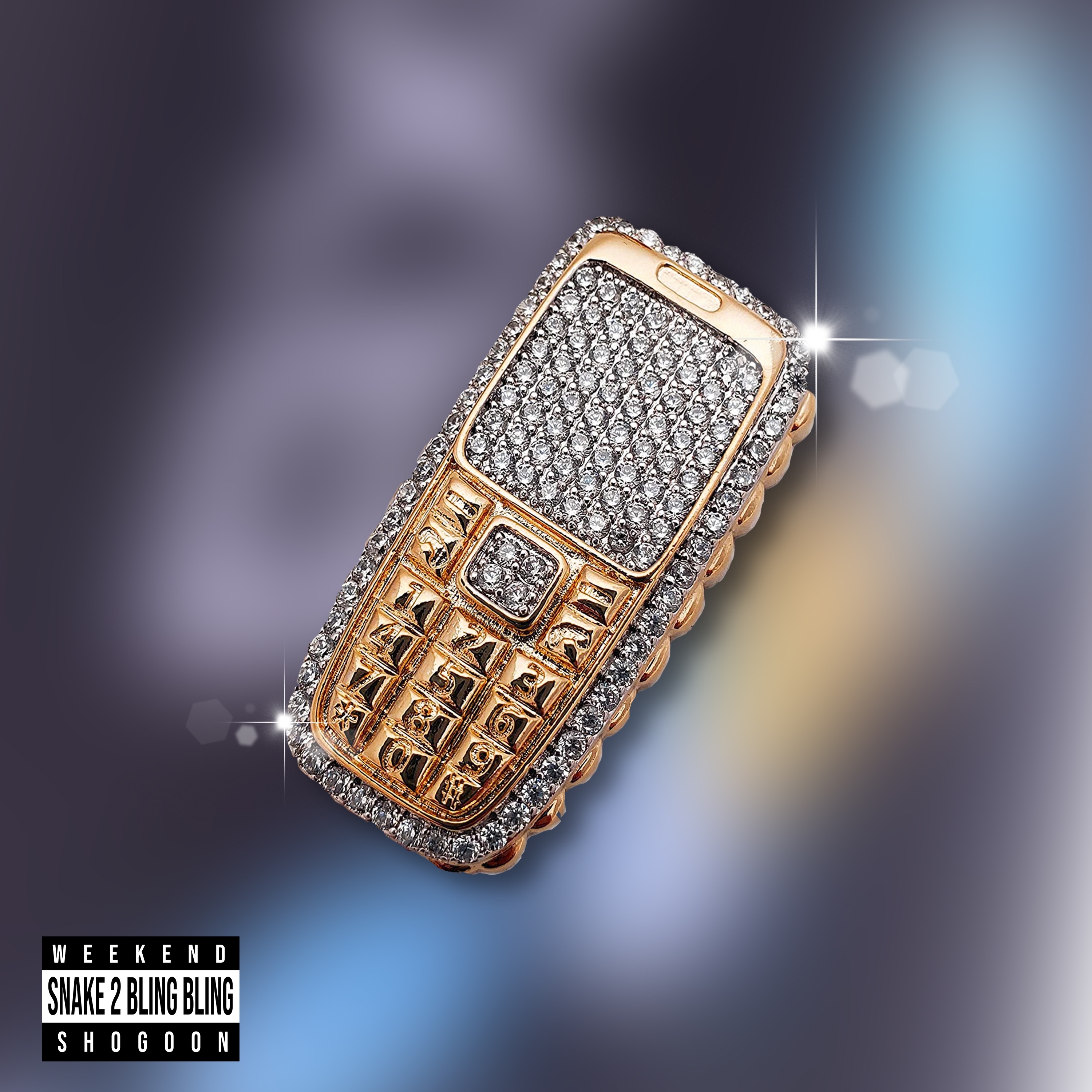 Snake 2 & Bling Bling - Single album cover