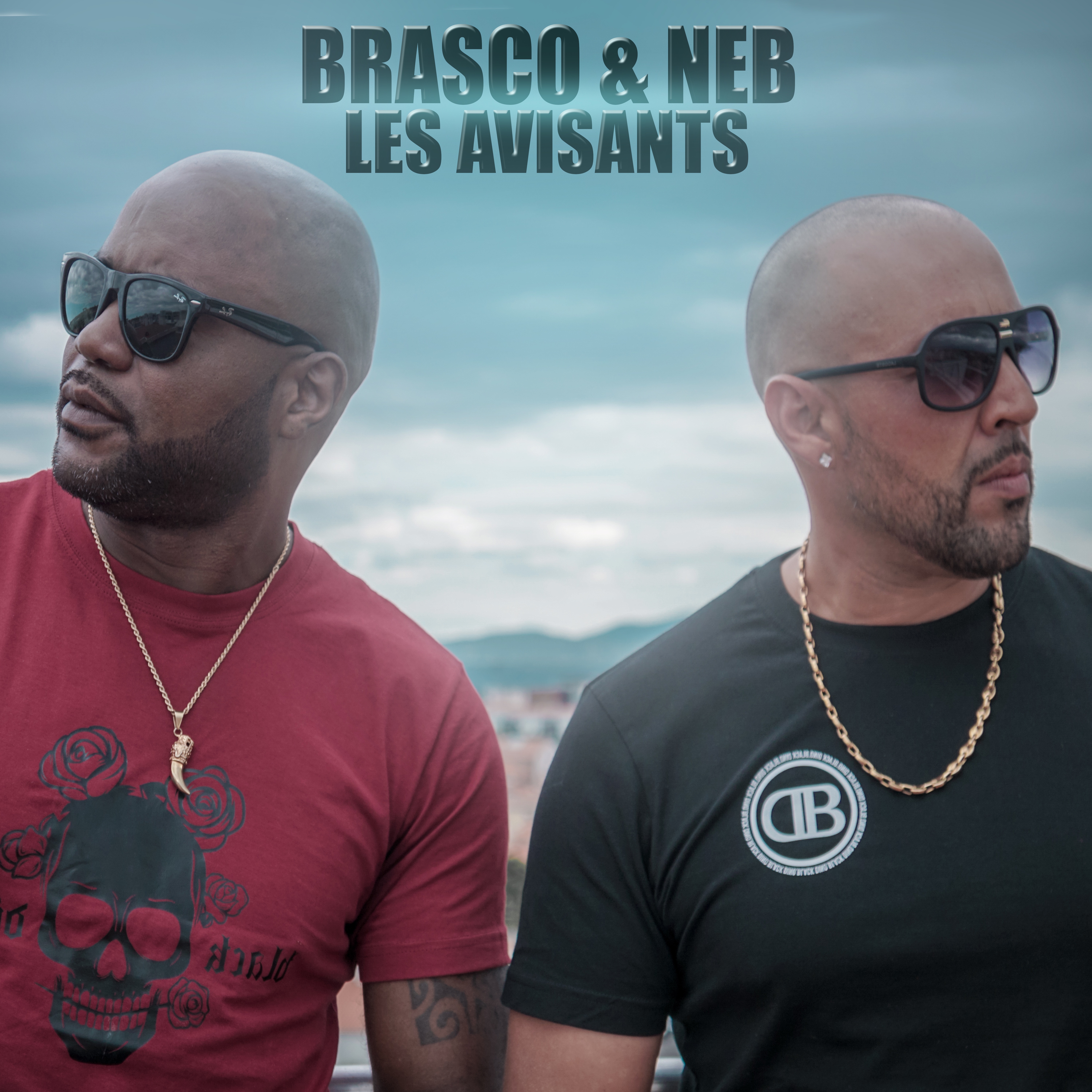 Les avisants - Single album cover