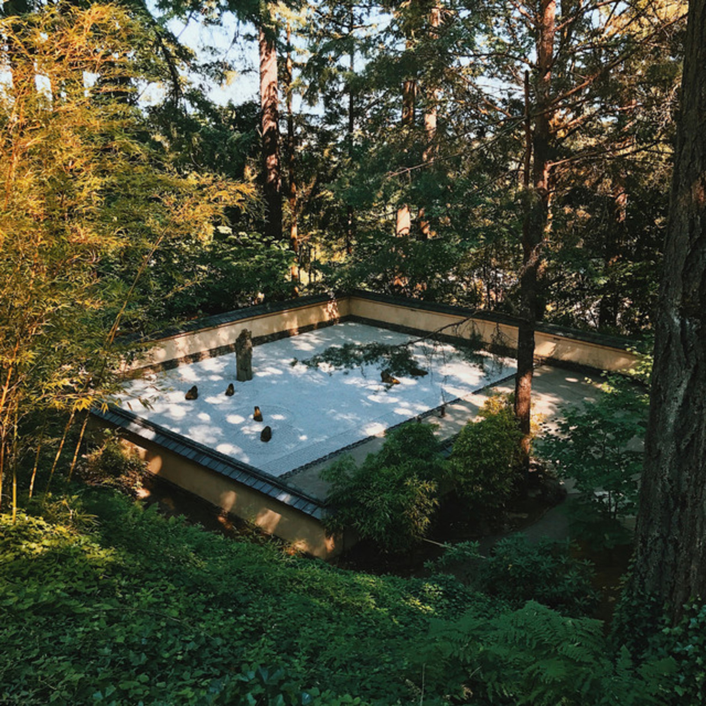 I'm Tired of Feeling This Way / Lychee Juice - Single album cover