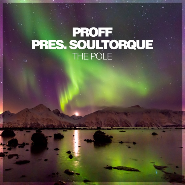 The Pole - Single album cover