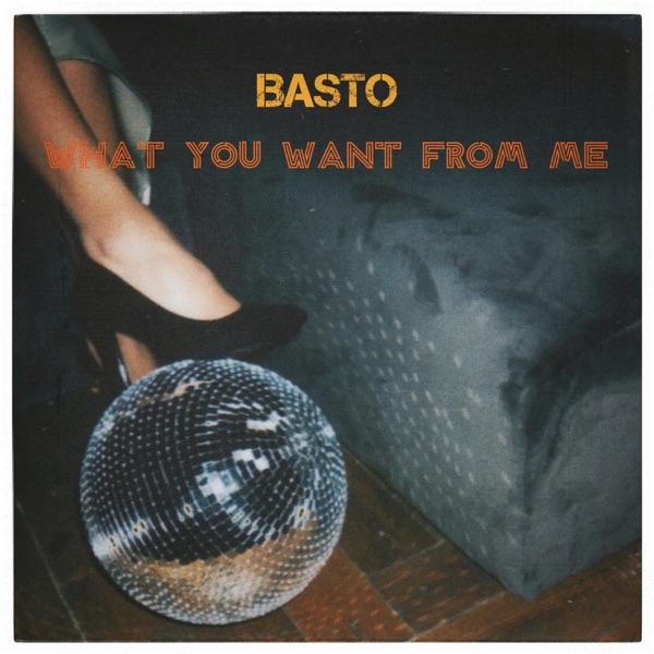What You Want from Me - Single album cover