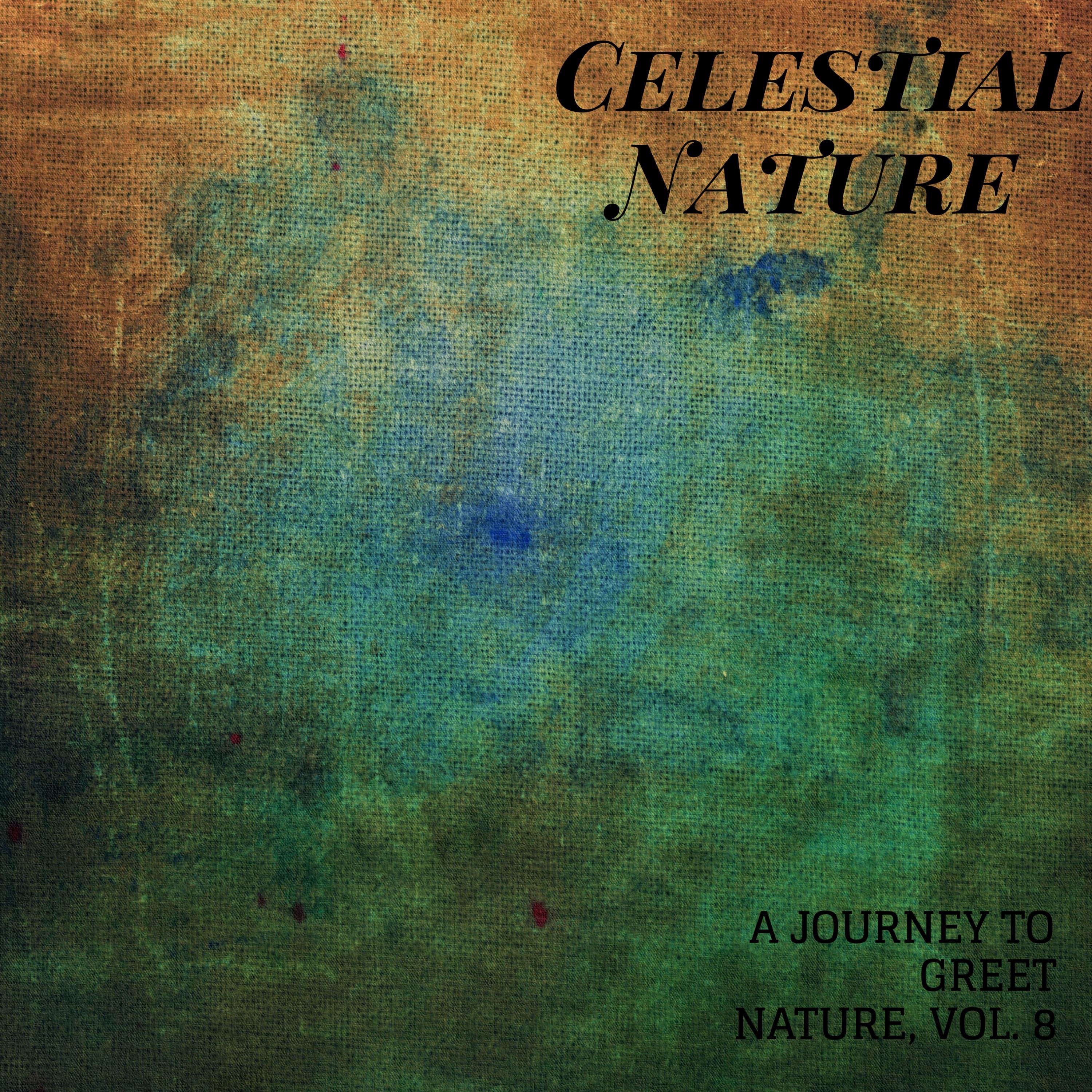 Celestial Nature - A Journey to Greet Nature, Vol. 8 album cover