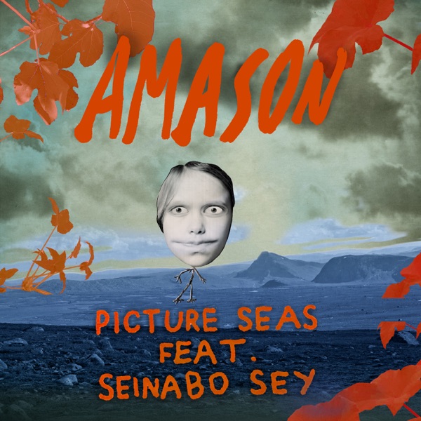 Picture Seas (feat. Seinabo Sey) - Single album cover