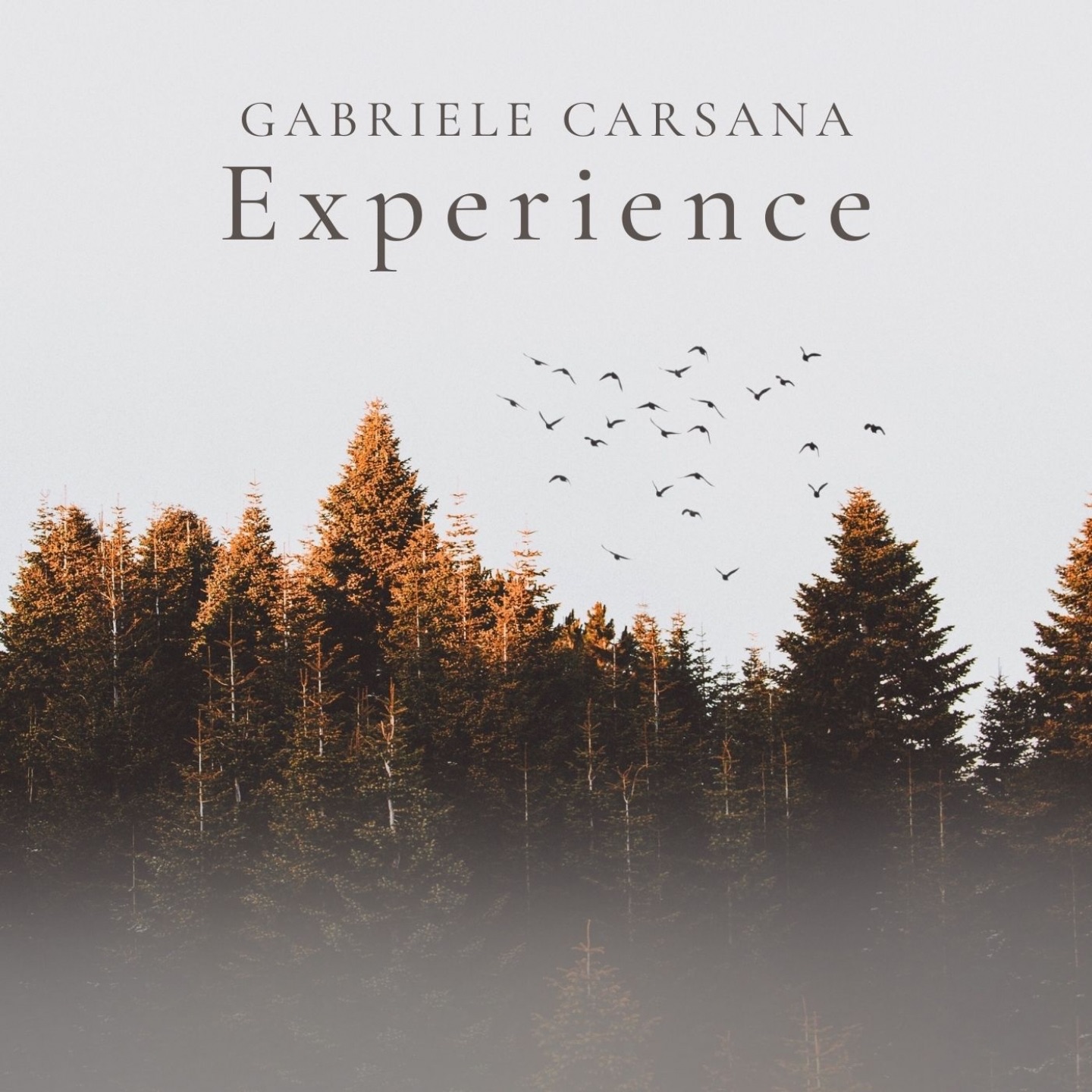 Experience - Single album cover