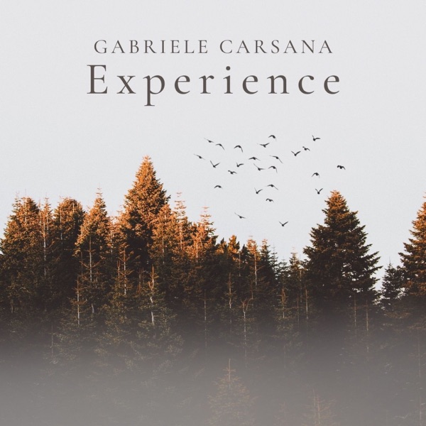 Experience - Single album cover