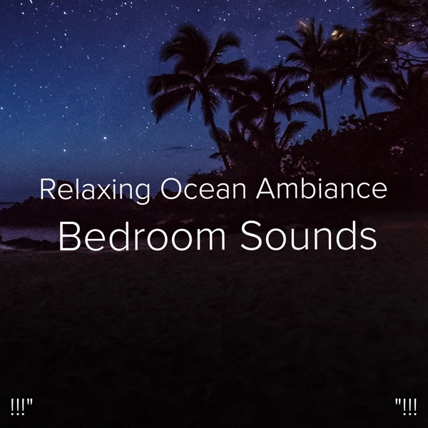 !!!" Relaxing Ocean Ambiance Bedroom Sounds "!!! album cover