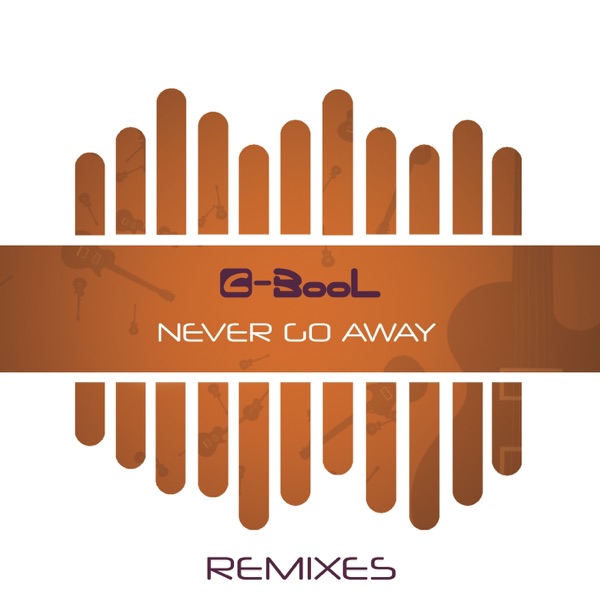 Never Go Away (Remixes) album cover