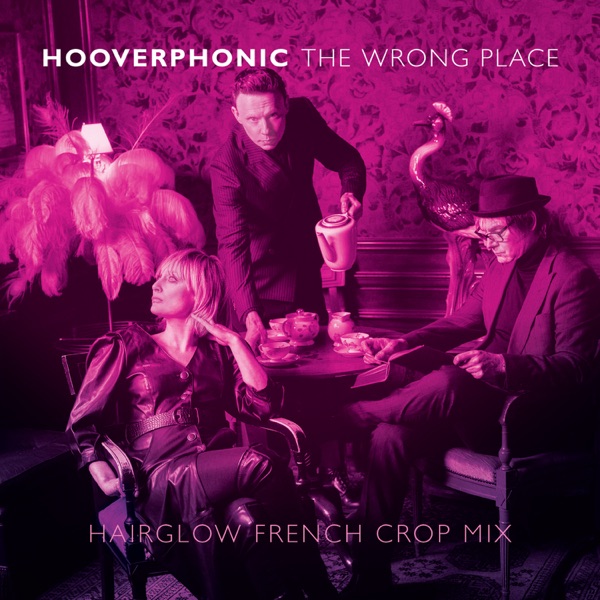 The Wrong Place (Hairglow French Crop Mix) - Single album cover