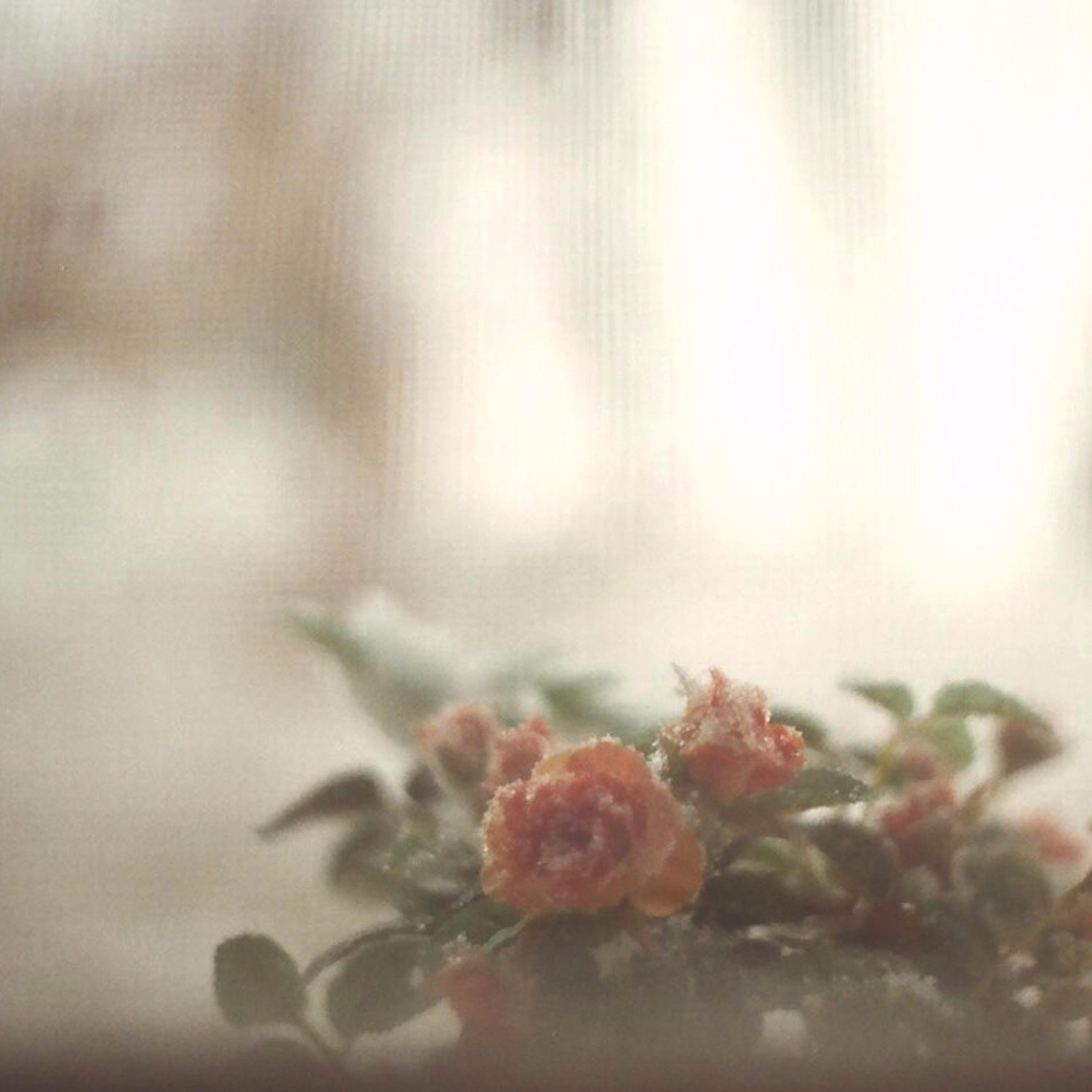 Sleeplessness album cover