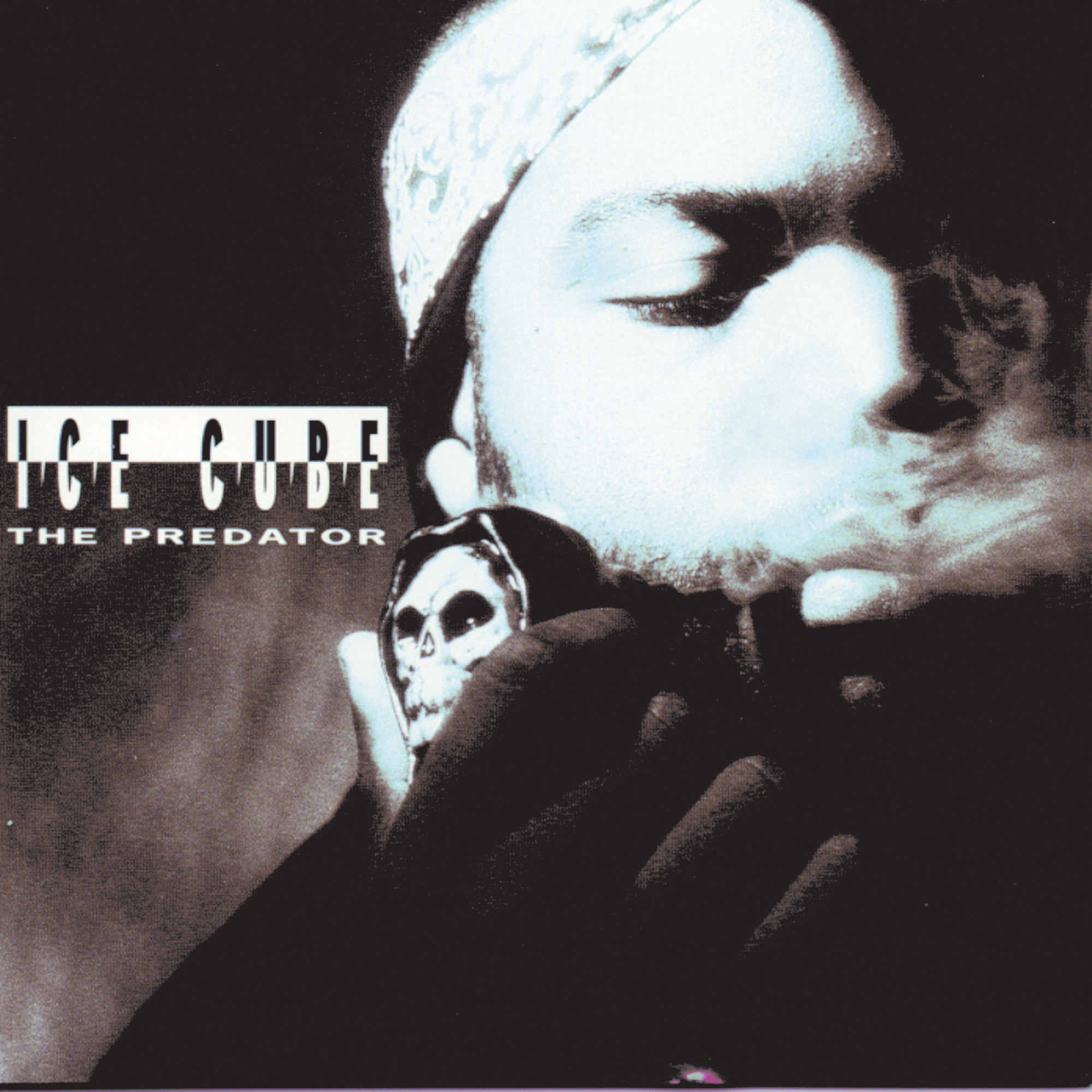 The Predator album cover