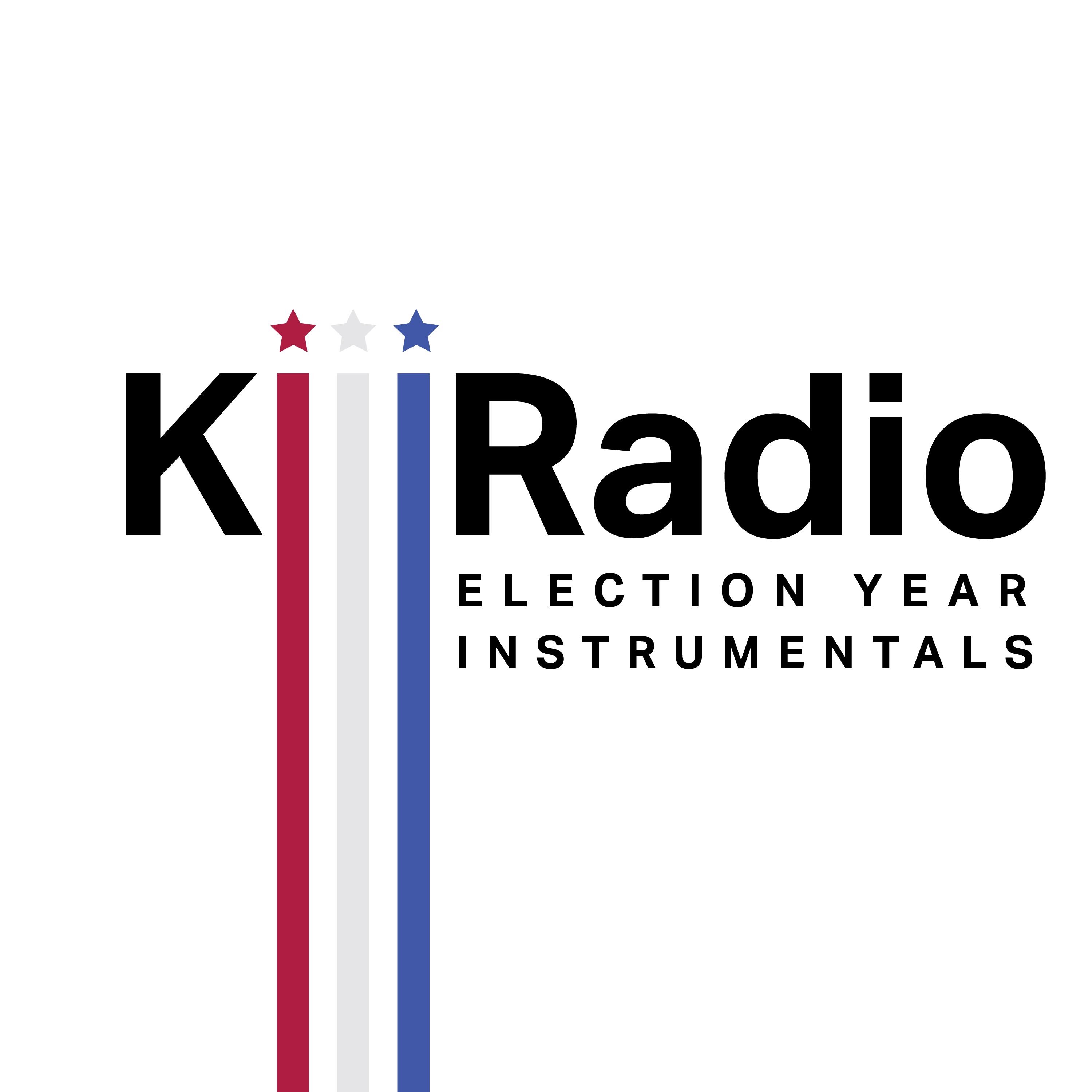 Election Year Instrumentals album cover